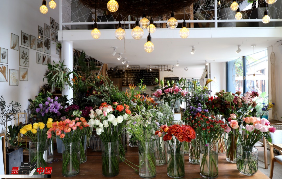從決定從事鮮花這個行業(yè)以來，王黎媛花了很多的時間和精力去學(xué)習(xí)花藝，不斷提高自己的專業(yè)水平。而在小店的選址、裝修和布置方面，王黎媛同樣花費了不少心思，“希望我的小店和鮮花一樣，是有溫度的、鮮活的?！绷硗?，小小的花店也藏著大大的夢想，“我們云南鮮花很多，但真正做成品牌的卻很少，這是非?？上У?。我希望把我的店做成品牌，不光能扎根昆明，還能落地到云南的其他城市，甚至省外的城市?！眻D為王黎媛的花店一角。新華網(wǎng) 周亞平/攝 念新洪/文